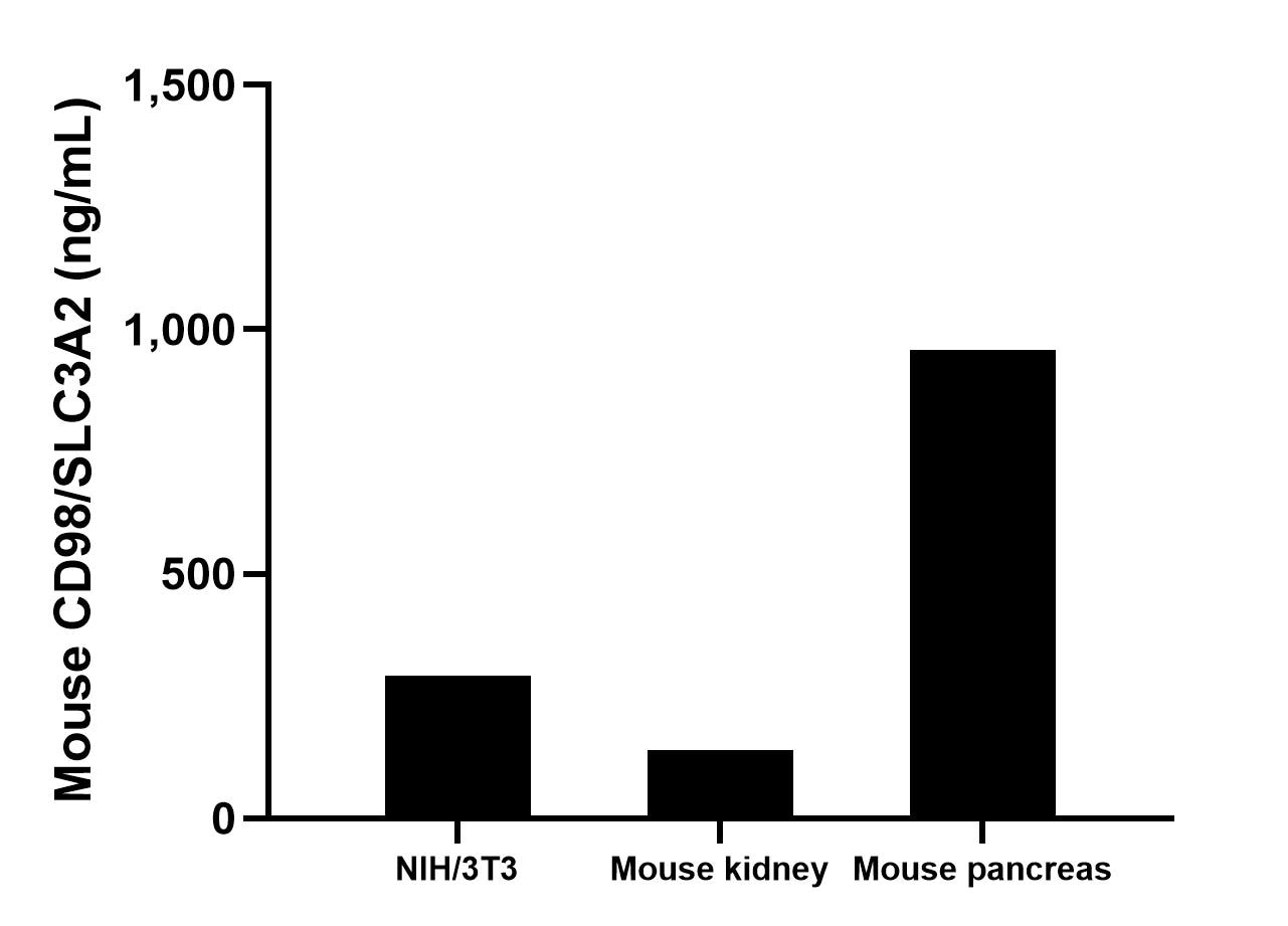The mean CD98/SLC3A2 concentration was determined to be 291.1 ng/mL in NIH/3T3 cell extract based on a 4.0 mg/mL extract load, 140.2 ng/mL in mouse kidney tissue extract based on a 3.1 mg/mL extract load and 958.6 ng/mL in mouse pancreas tissue extract based on a 2.3 mg/mL extract load.